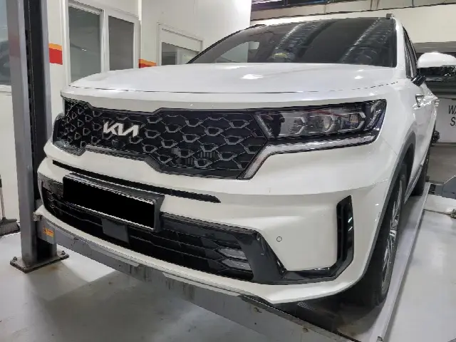 Kia Sorento 2020, 46 175 км