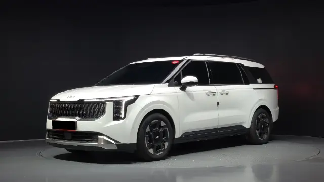 Kia Carnival 2023, 28 333 км