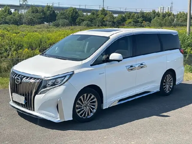 GAC Trumpchi M8 2021, 50 000 км