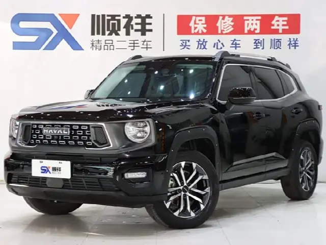 Haval H-Dog 2023, 21 000 км