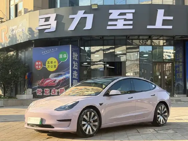 Tesla Model 3 2023, 79 000 км