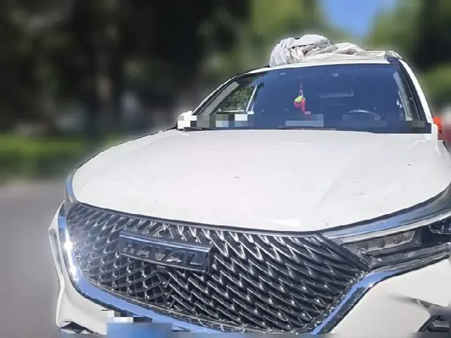 Haval M6 2021, 8 000 км