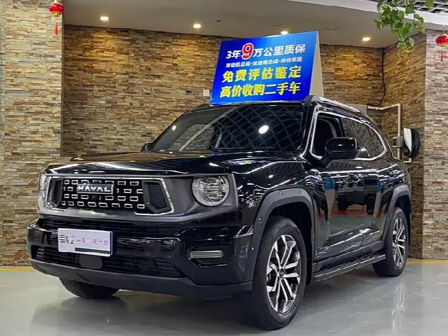 Haval H-Dog 2023, 62 000 км
