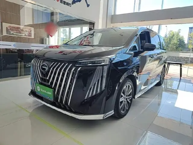 GAC Trumpchi M8 2024, 10 700 км