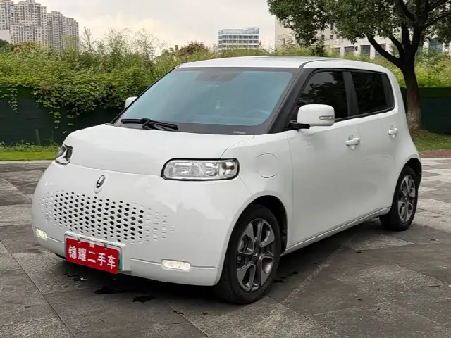 Ora White Cat 2022, 60 000 км
