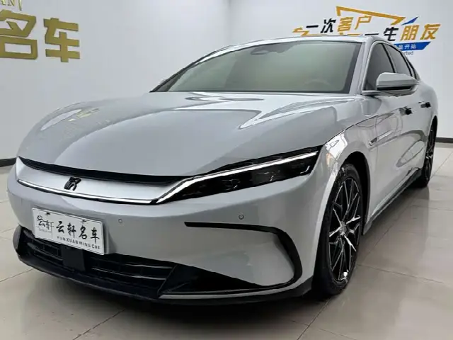 BYD Han 2025, 20 000 км