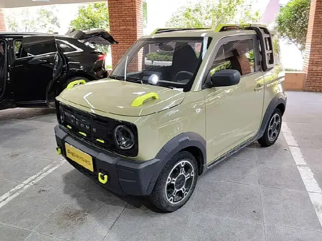 Geely Galaxy Panda Mini 2024, 20 800 км