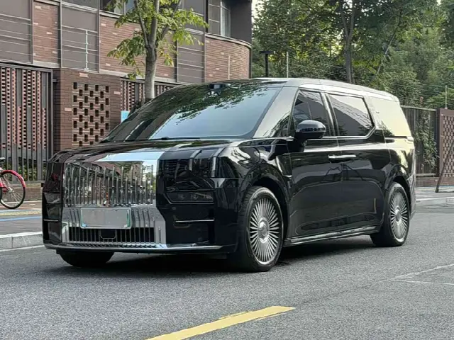 Zeekr 009 2024, 60 000 км