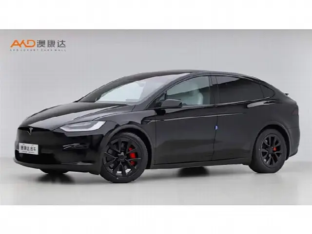 Tesla Model X 2023, 54 000 км