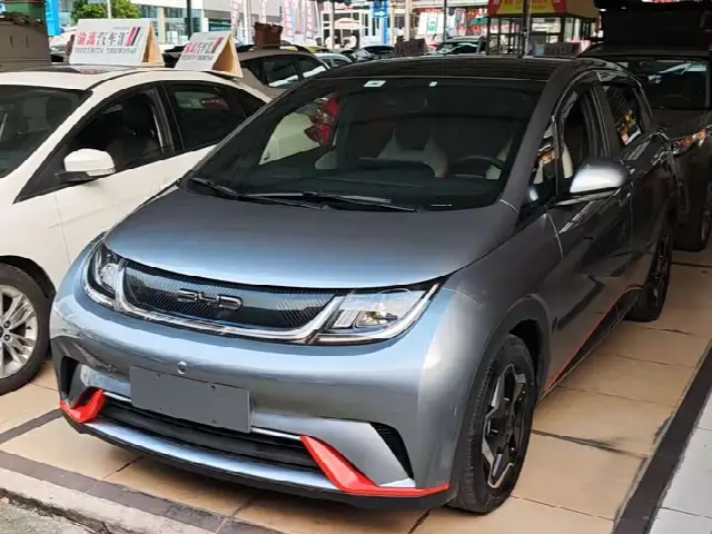 BYD Dolphin 2021, 59 000 км