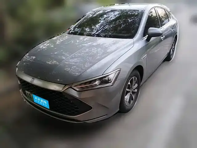 BYD Qin Plus 2024, 31 900 км