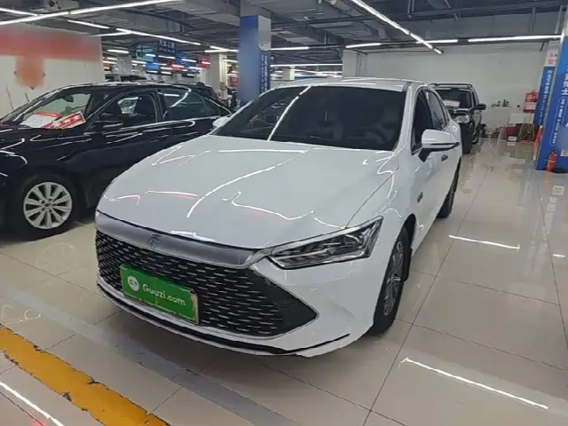 BYD Qin Plus 2024, 15 200 км