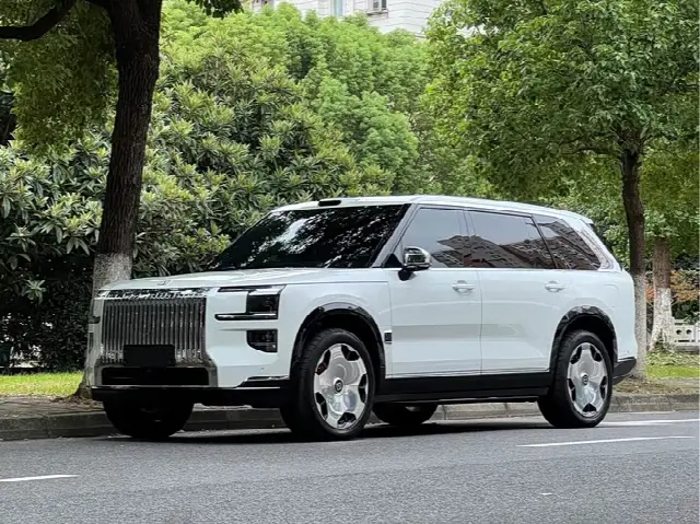 Zeekr 9X 2025, 15 000 км