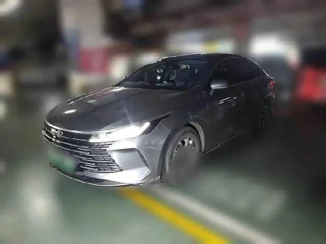 BYD Destroyer 05 2023, 66 500 км