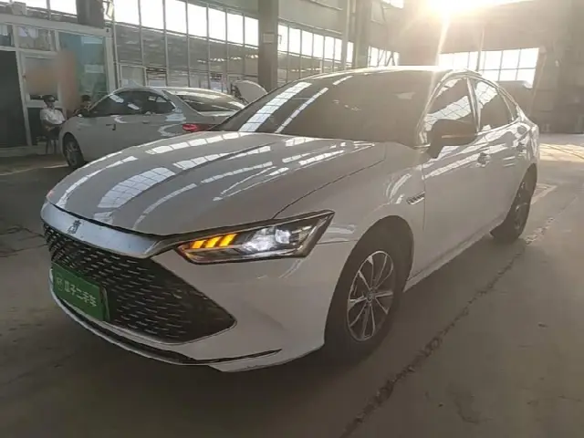 BYD Qin Plus 2024, 40 300 км