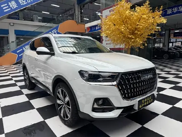 Haval H6 2023, 14 000 км