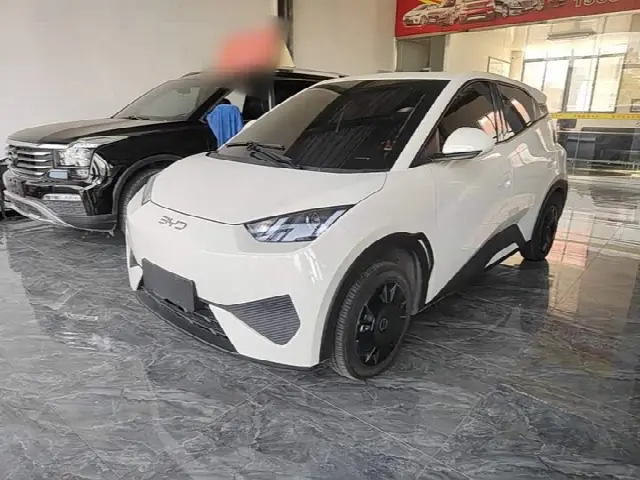 BYD Seagull 2025, 10 900 км