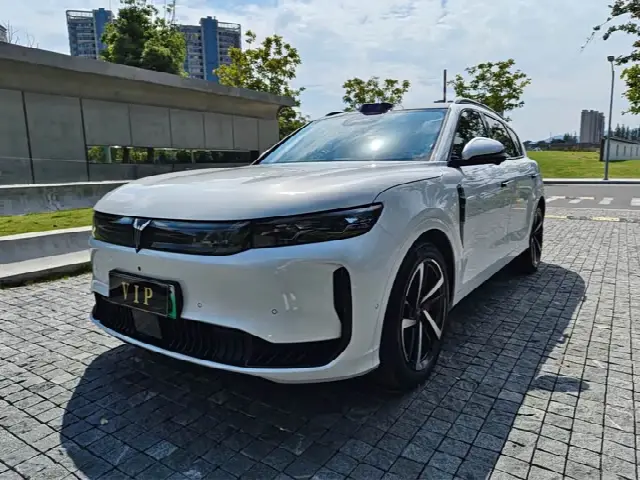 Voyah Free 2025, 38 000 км