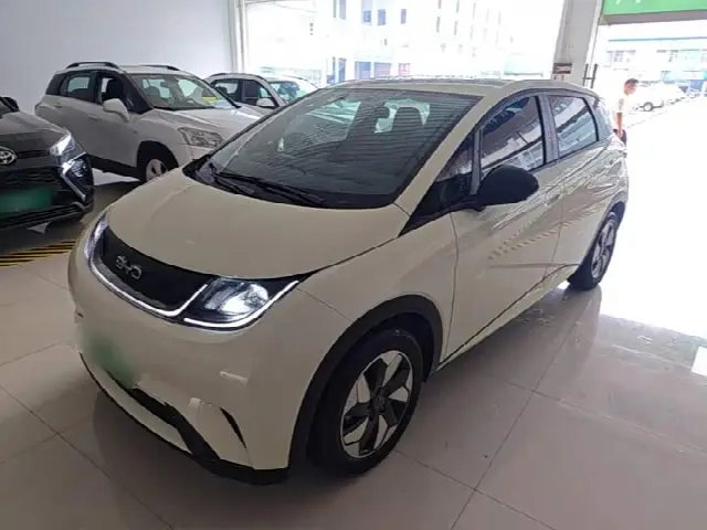 BYD Dolphin 2025, 11 400 км