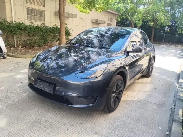 Tesla Model Y 2024, 24 900 км