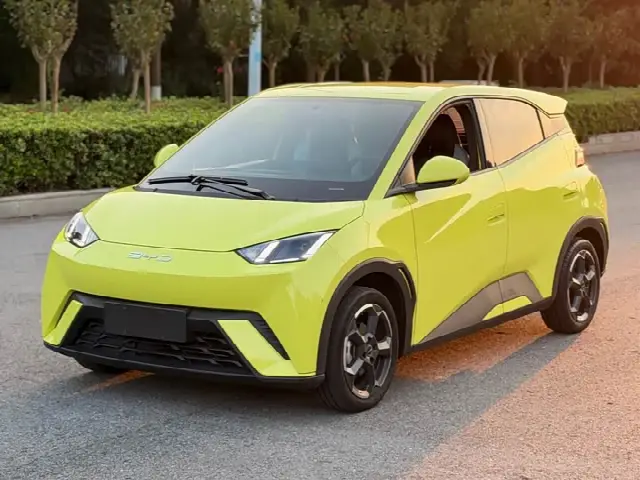 BYD Seagull 2024, 60 000 км