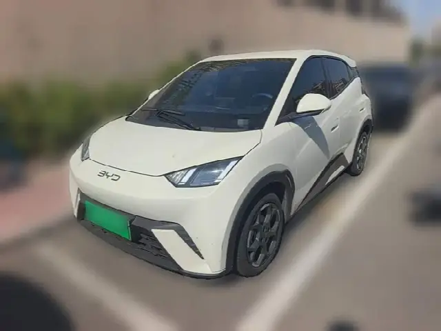 BYD Seagull 2025, 18 100 км