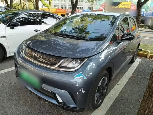BYD Dolphin 2024, 7 800 км