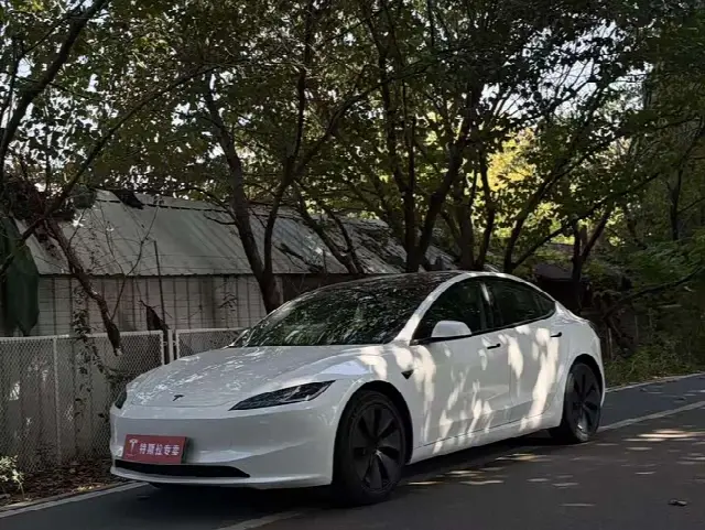 Tesla Model 3 2025, 13 000 км