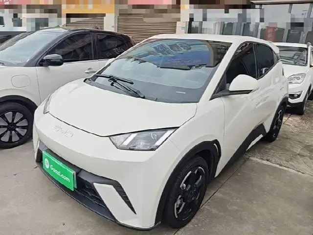 BYD Seagull 2023, 20 200 км