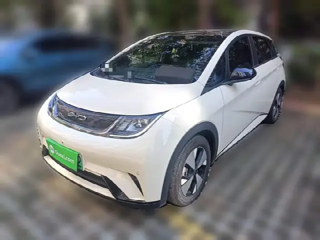 BYD Dolphin 2023, 52 300 км