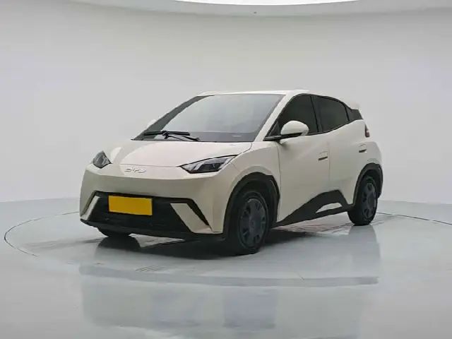 BYD Seagull 2024, 35 000 км