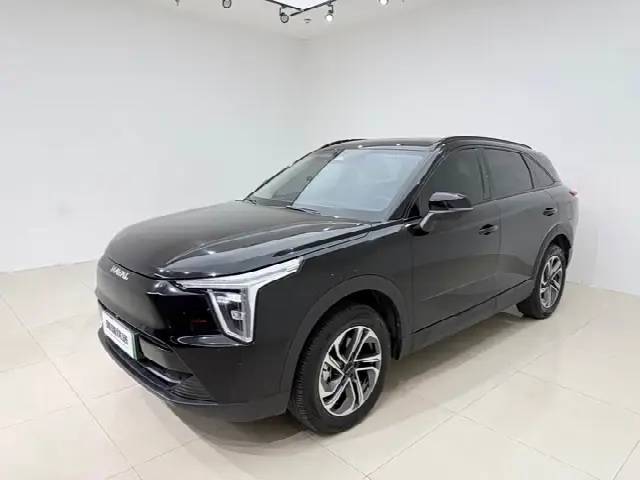 Haval Ruge 2023, 46 000 км