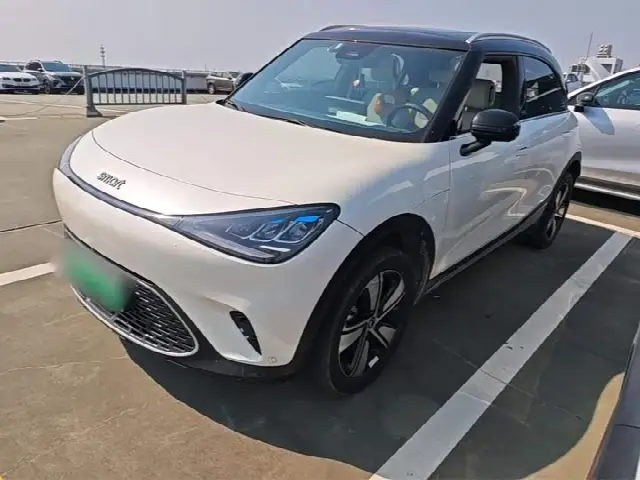 Smart #1 2024, 53 200 км