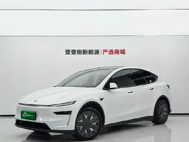 Tesla Model Y 2025, 7 000 км
