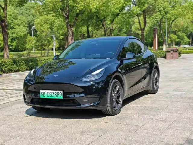 Tesla Model Y 2023, 60 000 км