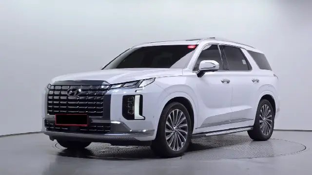 Hyundai Palisade 2022, 20 755 км