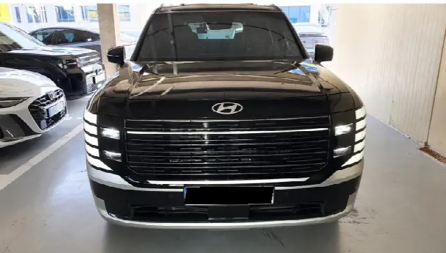 Hyundai Palisade 2025, 32 616 км