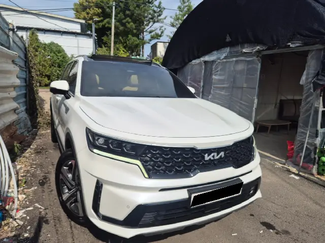 Kia Sorento 2020, 81 118 км