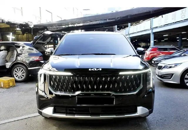 Kia Carnival 2023, 23 309 км