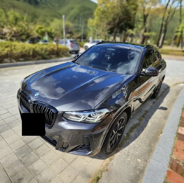 BMW X4 2018, 79 000 км