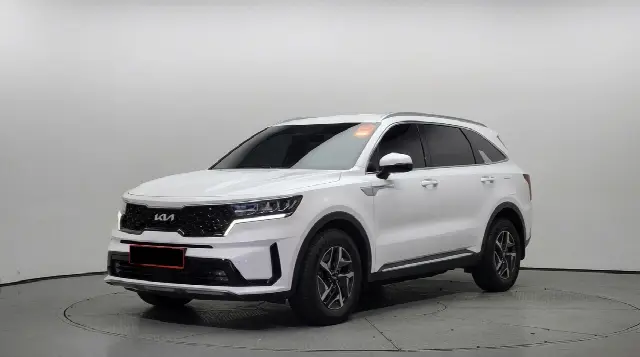 Kia Sorento 2020, 48 495 км