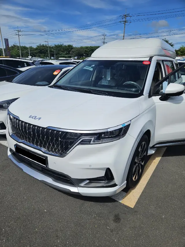 Kia Carnival 2020, 36 000 км