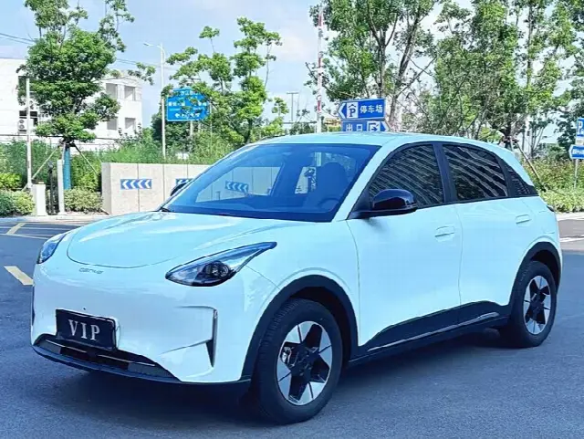 Geely Galaxy Geome 2025, 29 100 км