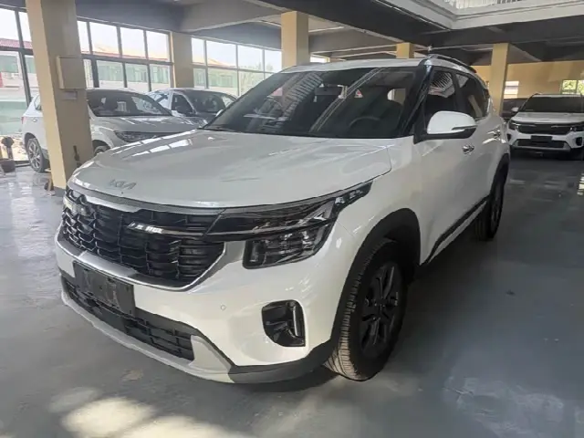 Kia Seltos 2023, 29 000 км