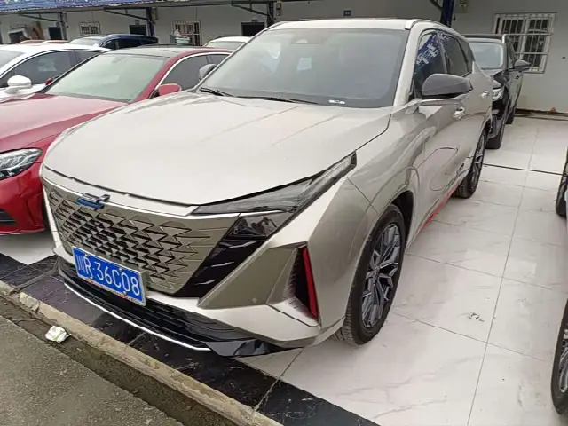 Changan Oshan Z6 2023, 29 000 км