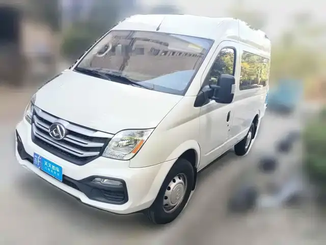Maxus V80 2024, 6 560 км