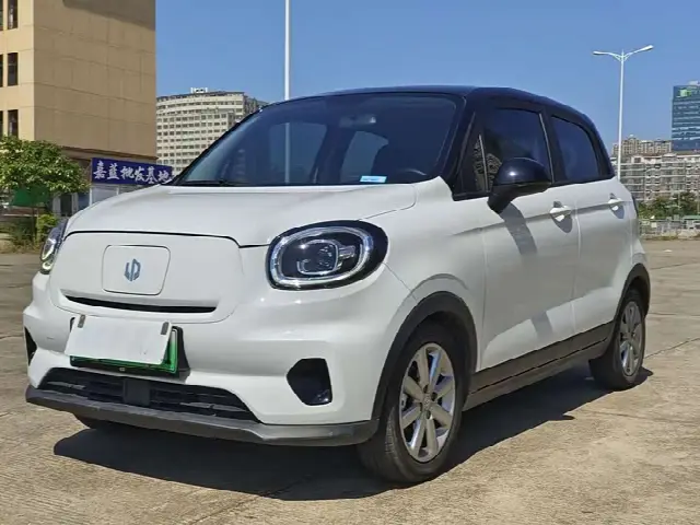 Leapmotor T03 2022, 40 000 км