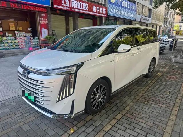 GAC Trumpchi E9 2023, 82 500 км