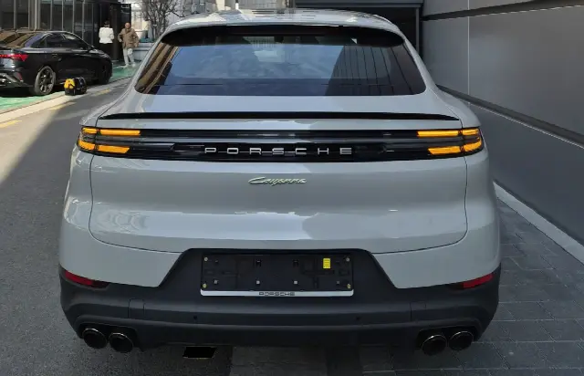 Porsche Cayenne 2019, 7 500 км