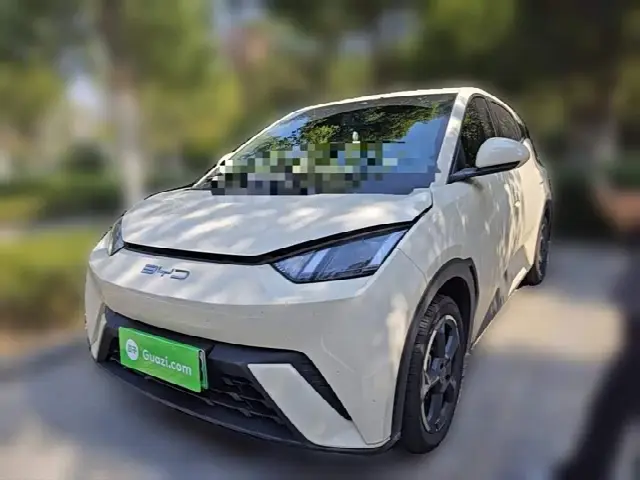 BYD Seagull 2023, 36 800 км